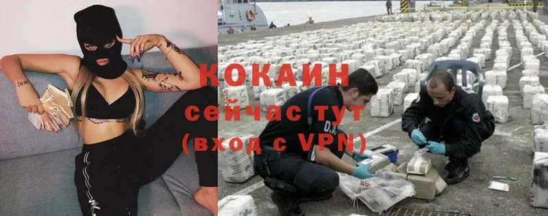 ссылка на мегу как зайти  как найти наркотики  Гороховец  Cocaine 98% 