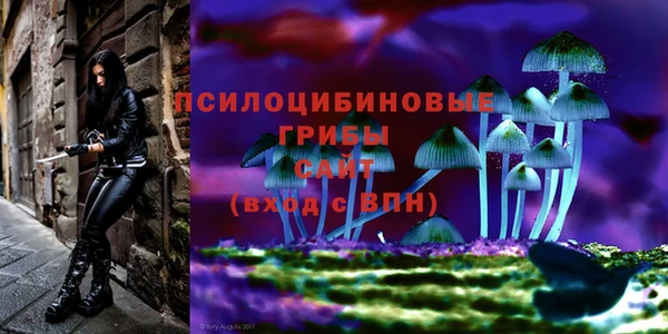 гидропоника Валдай