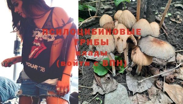 круглые Белокуриха